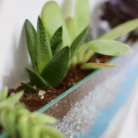 Petite Palace Apartman *